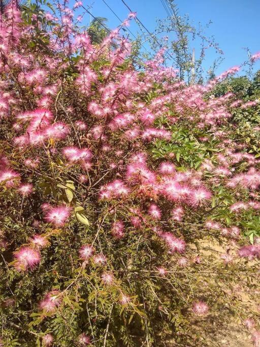 Chale Aconchegante Em Estancia Climatica Santo Antonio do Leite Bagian luar foto