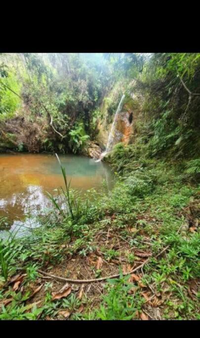 Chale Aconchegante Em Estancia Climatica Santo Antonio do Leite Bagian luar foto