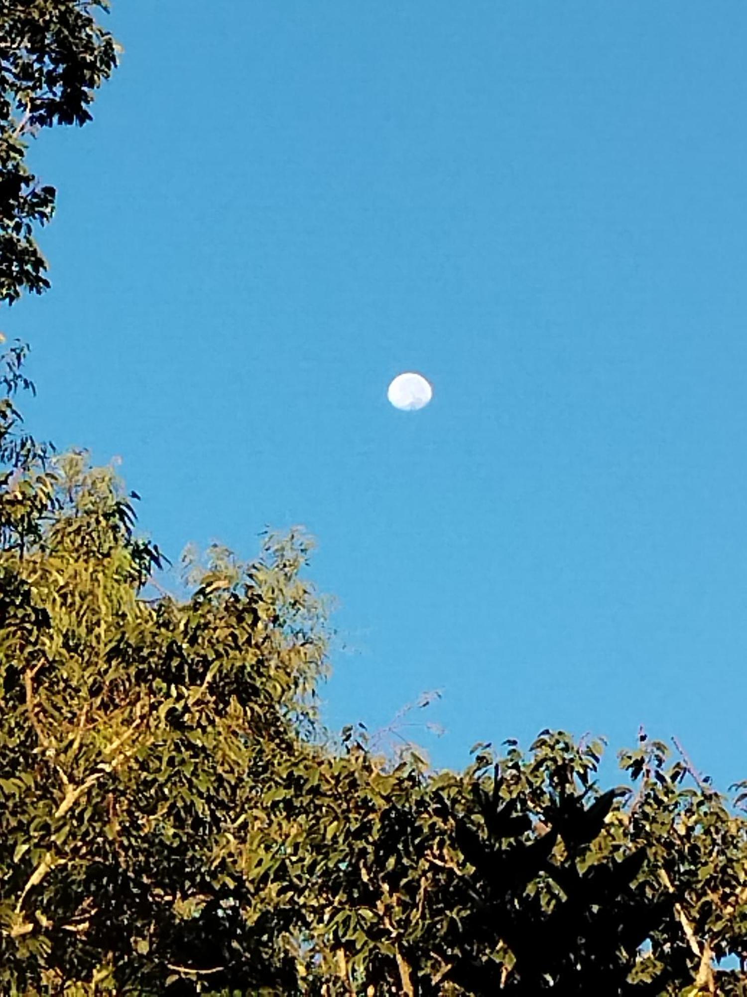 Chale Aconchegante Em Estancia Climatica Santo Antonio do Leite Bagian luar foto